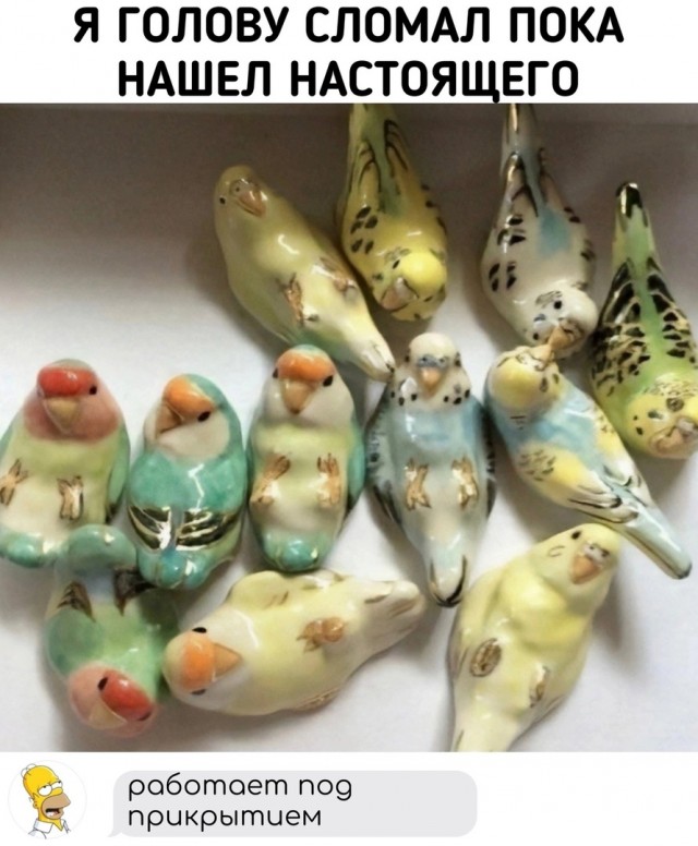 Так себе картинки 07.05.24