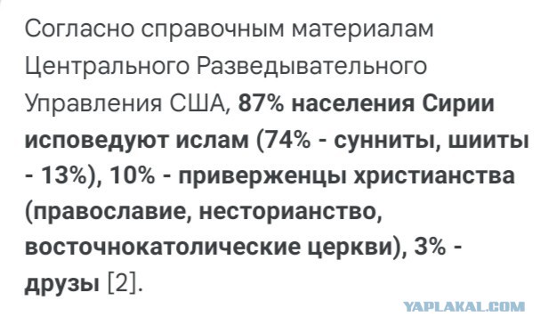 Сирийца, убившего свою русскую сожительницу, оправдали в турецком суде,