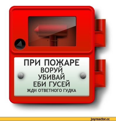 Помощник на случай, если надо забрать много посылок