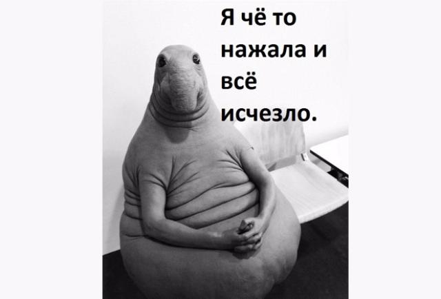 Понедельник, утро, а мне уже хорошо. В отпуске я.
