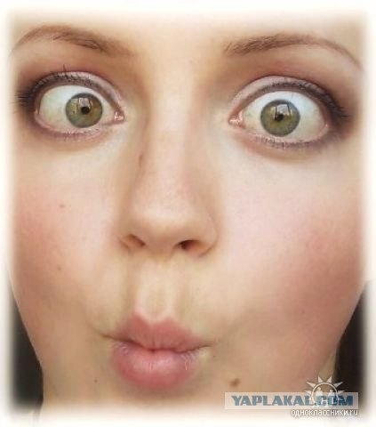 Дикие фото из социальных сетей