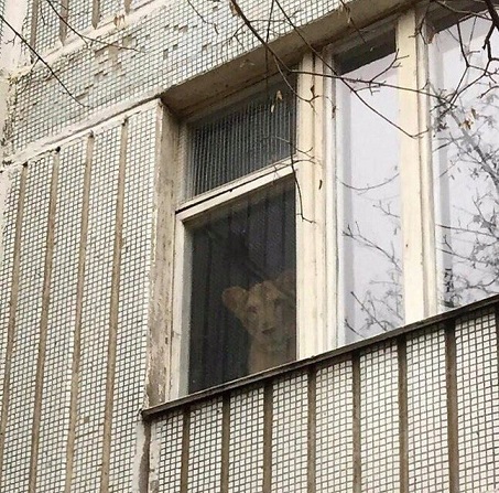 Кофеин и Никотин