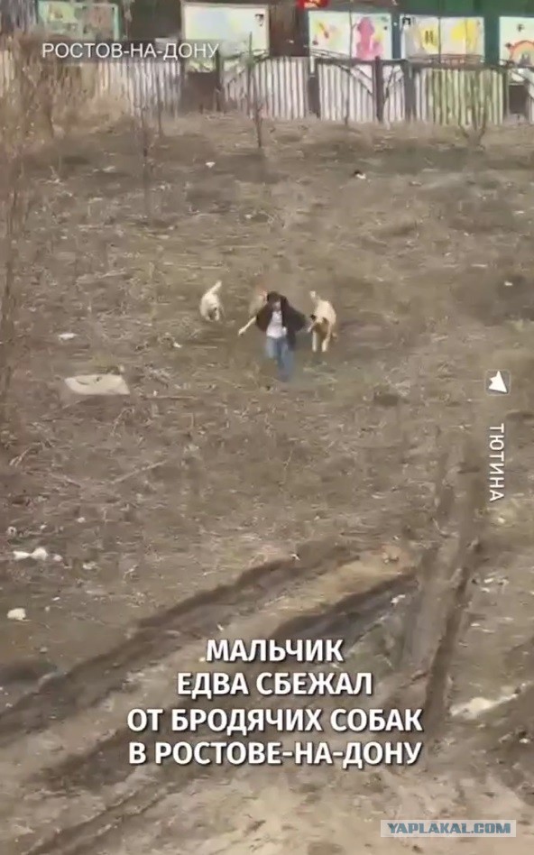 Псинорадикальный  фашизм