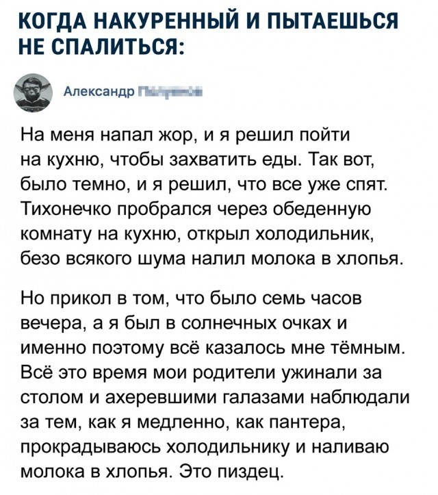 Праздничная дичь. Ударная доза