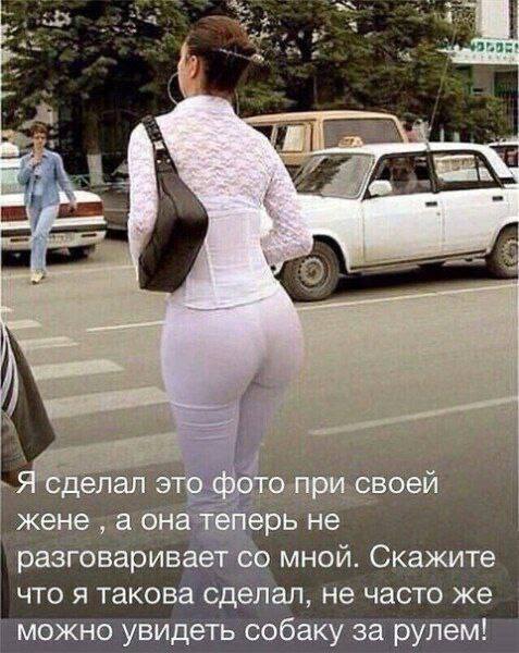 Забавные и не очень скромные картинки - 4