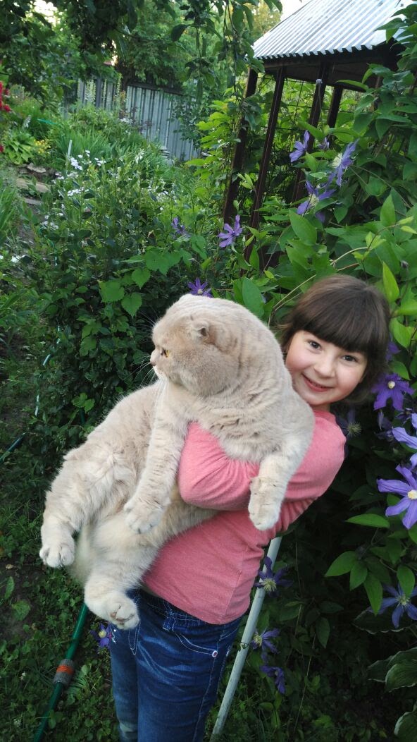 Кот...