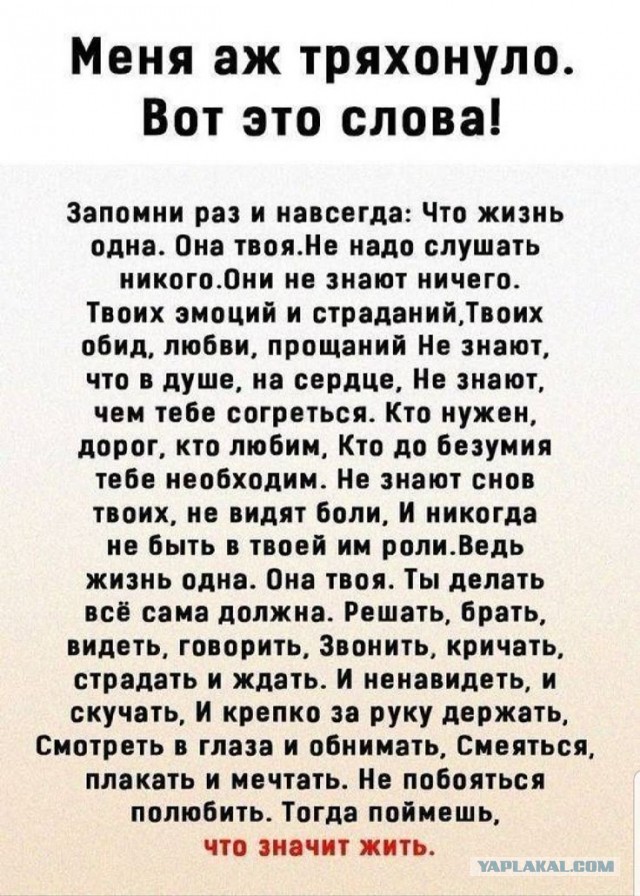 Прикольные и просто красивые картинки 18.07.2025