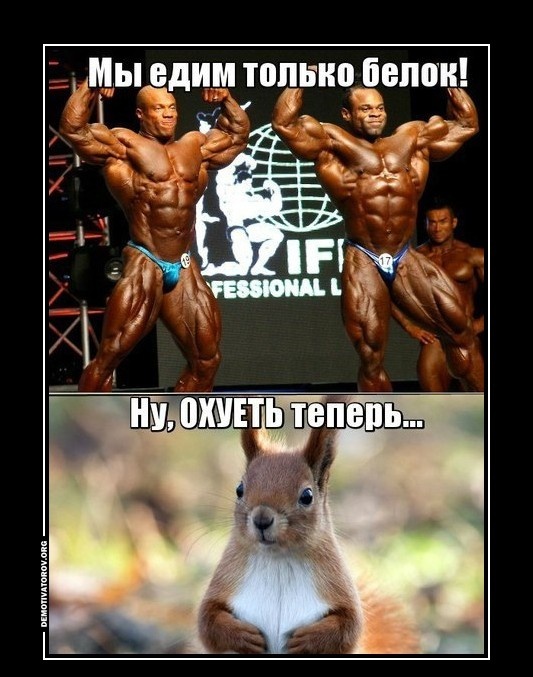 Когда выучил английский, и теперь твоя любимая песня звучит как-то так