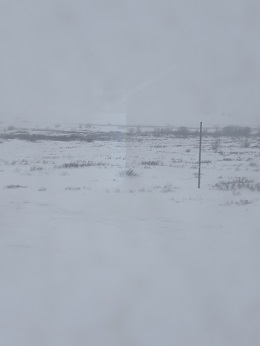 Индийские пляски на Красной площпди