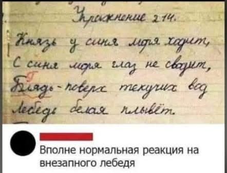 Картинки для деградации 95 (разной степени свежести)