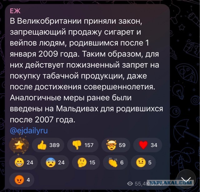 В России допустили пожизненный запрет на курение для родившихся после 2008 года