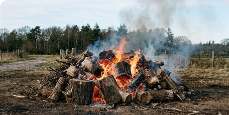 Забил первые пару новостей сайта в ИИ и вежливо спросил эту железяку, о чём там калякают в комментах. Тема 18+