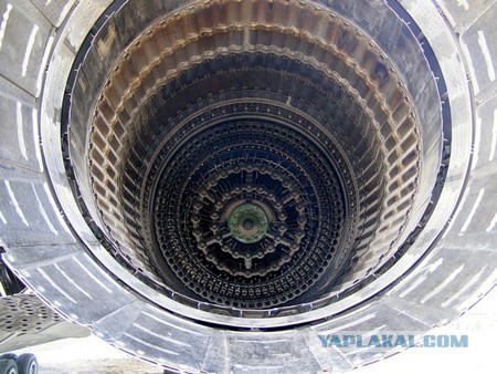Красавцы.