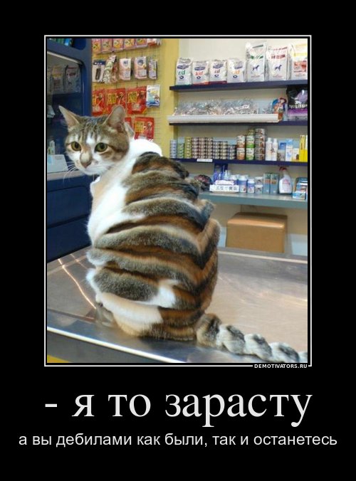 Из серии "мой хозяин идиот.."