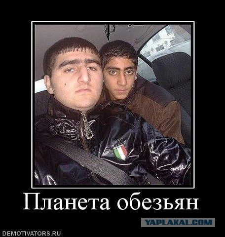 Не хватило смелости выйти