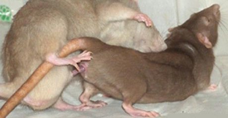 Подборка забавных и курьезных фотографий