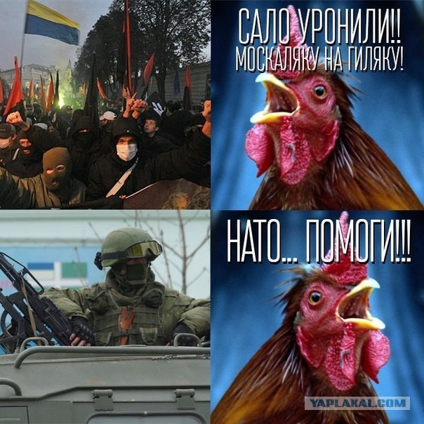 Заседание Совбеза ООН по Украине 19-20 марта 2014