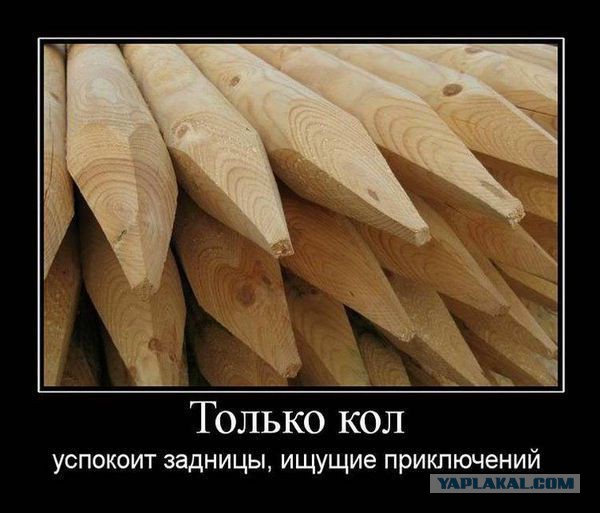 Последние новости из Украины от Яценюка