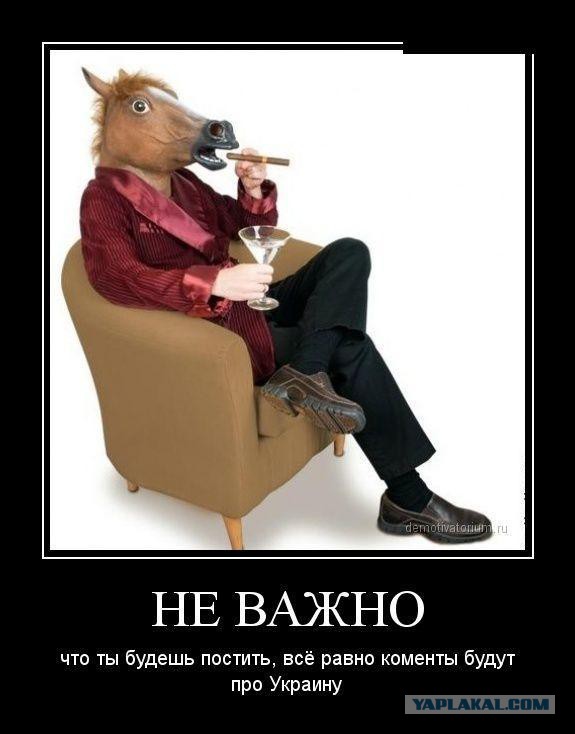 Джим Керри на матче Нью-Йорк - Филадельфия