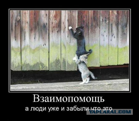 Будьте добрее!