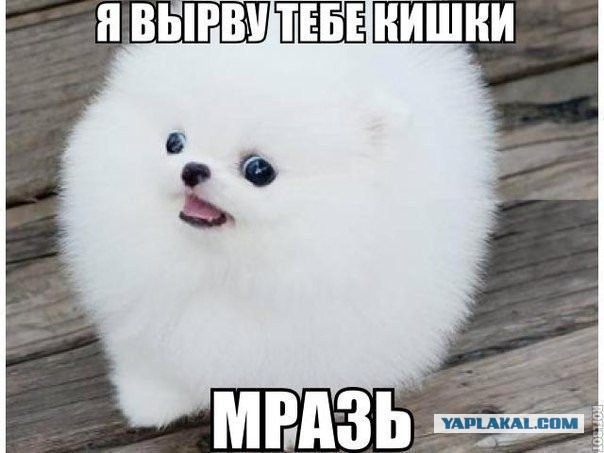 Финны хотят вернуть Карелию,