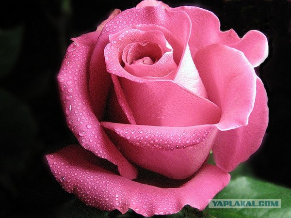 Весь Мир и Вселенная числовая матрица