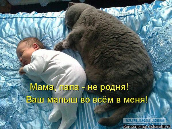 Смешные комментарии из социальных сетей 15.11.14