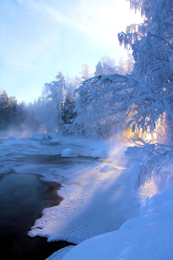 Зимние мотивы