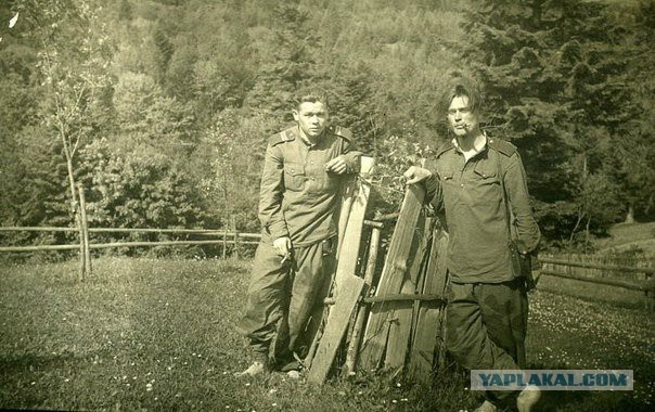 Охотники на бандерлогов