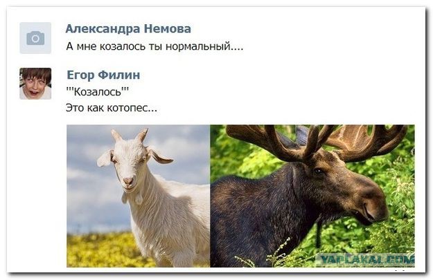 Весёлые картинки на субботу