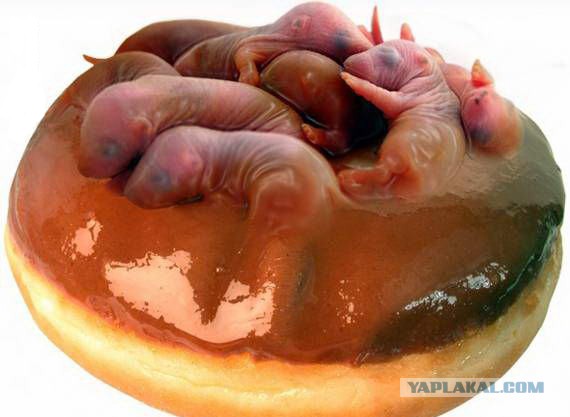 Типичные продукты китайского супермаркета