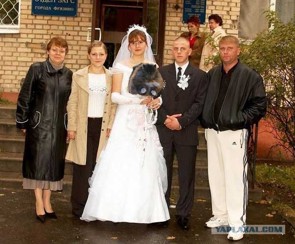 Ну очень жабельно