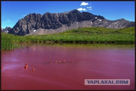 35 уникальных мест планеты, которые удивят