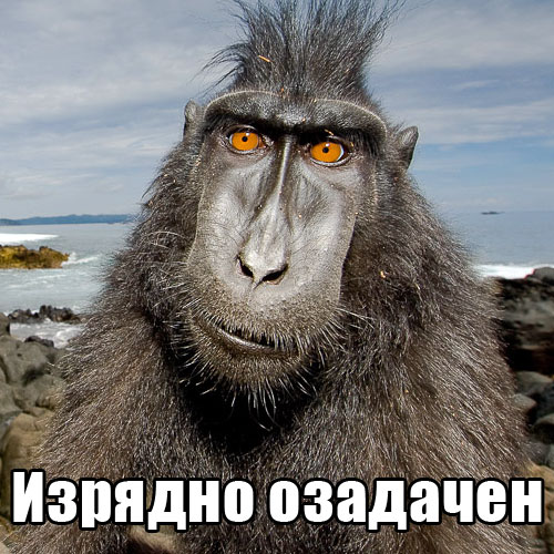 Россия и Германия должны слиться