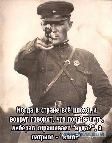 Солянка политическая #8