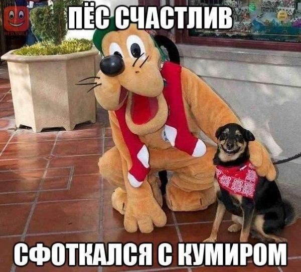 Веселые картинки
