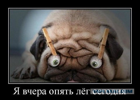 Весёлые картинки