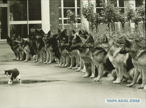 Интересные фотографии из прошлого