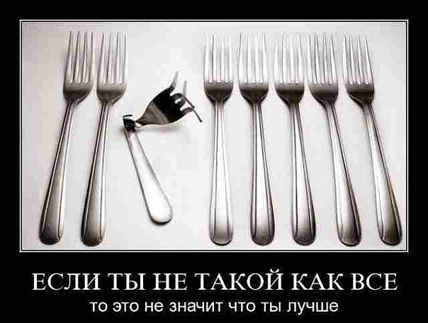 Надеюсь все живы