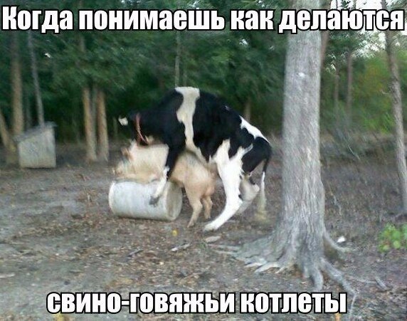 Ужасы и приколы из соцсетей 18+