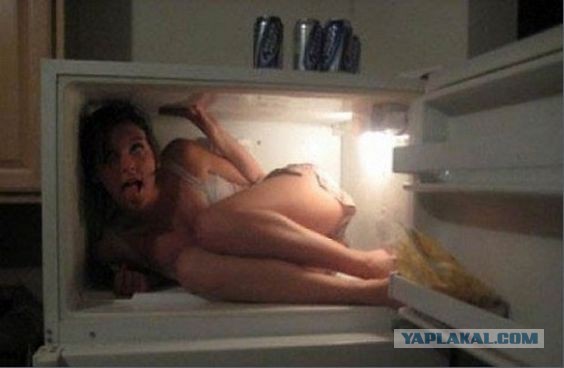 Удивительные факты