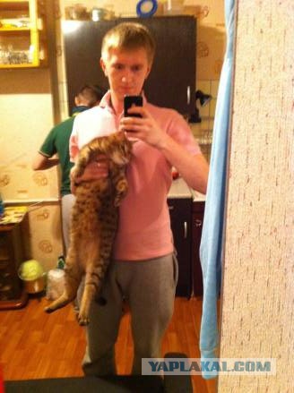 Смелые ЯПовцы.
