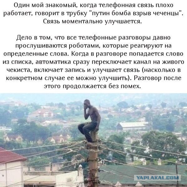 Все наши разговоры записывают?