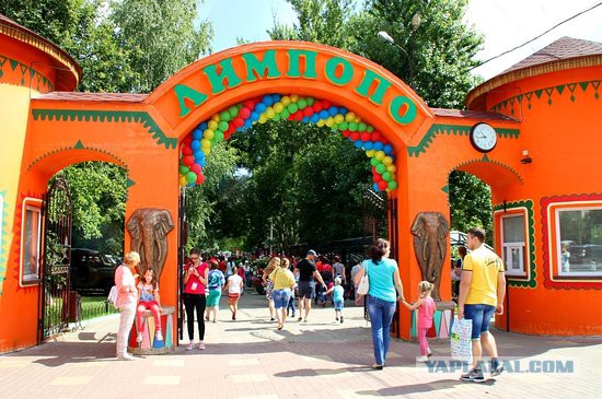 Хроники Лимпопо