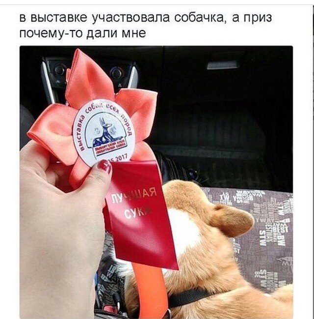 Чёрный юмор к началу летнего сезона