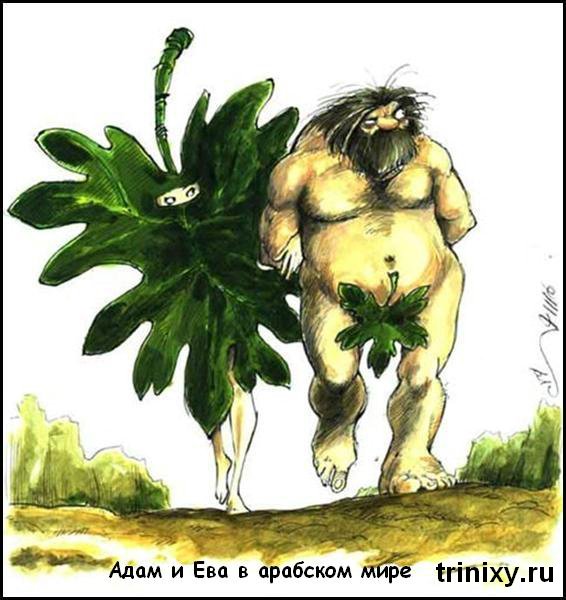 Забавные картинки