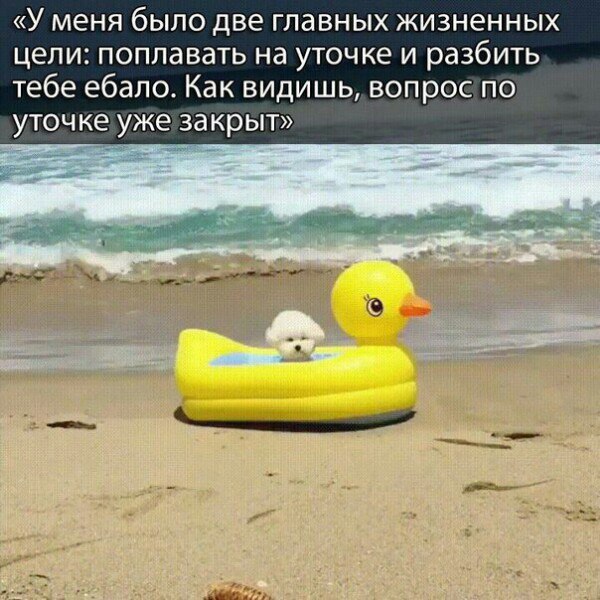 Немного деграданса - 8