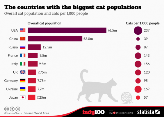 Россию сочли самой кошачьей страной мира