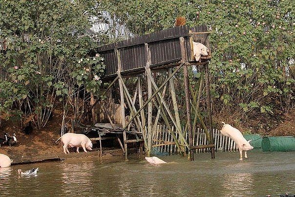 Смешные картинки