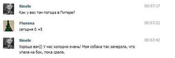 Центнер Идиотизма